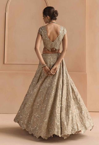 Beige champagne tissue lehenga set