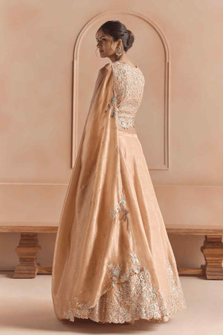 Sepia gold tissue lehenga set