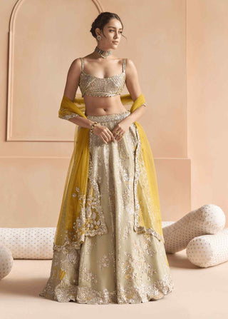 Sage embroidered lehenga set