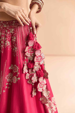 Cut ruby embroidered mulberry lehenga set