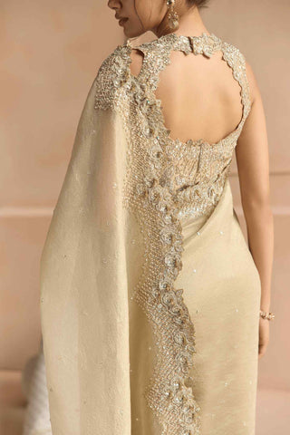 Beige champagne tissue sari set