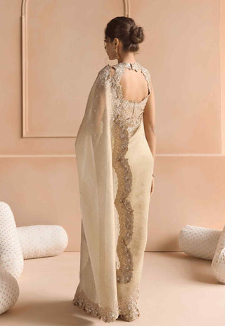 Beige champagne tissue sari set