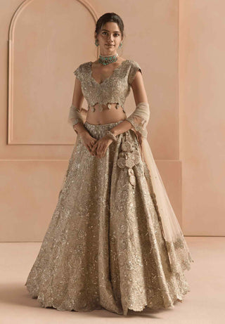 Beige champagne tissue lehenga set