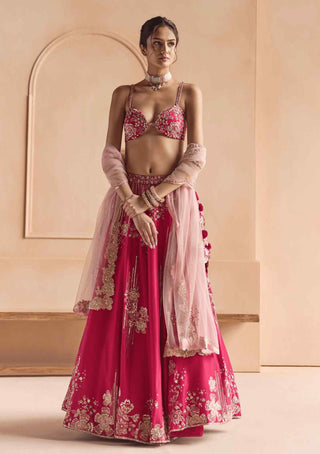 Cut ruby embroidered mulberry lehenga set