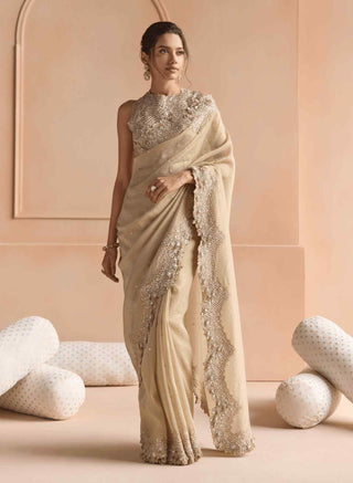 Beige champagne tissue sari set