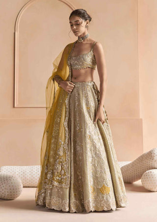 Sage embroidered lehenga set