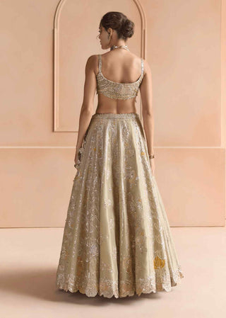 Sage embroidered lehenga set