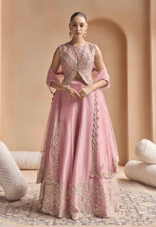Soft berry embroidered tissue lehenga set
