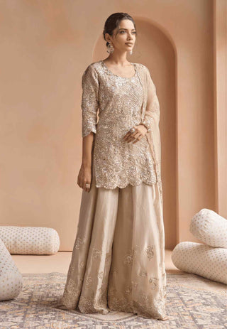 Beige champagne tissue sharara set