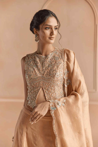 Sepia gold tissue lehenga set