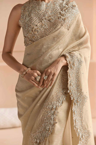 Beige champagne tissue sari set