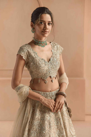 Beige champagne tissue lehenga set