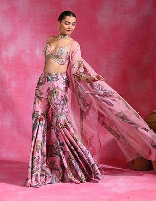 Sugar pink sharara and shrug set