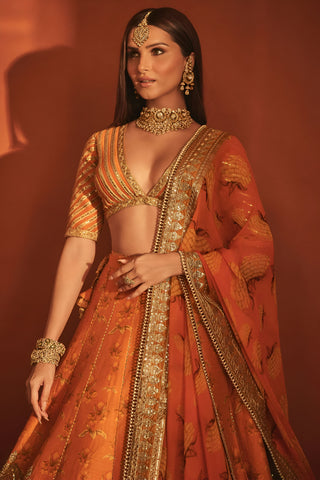 Rust narangi bagh lehenga set