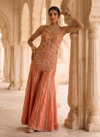 Kesariya baag orange corset kurta with sharara