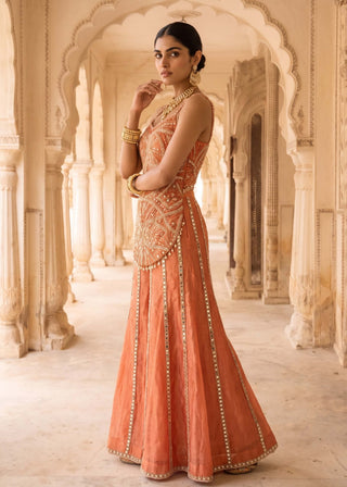 Kesariya baag orange corset kurta with sharara