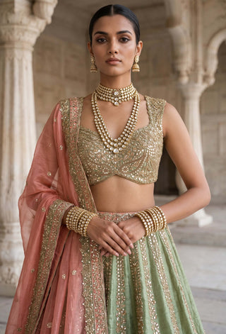 Amrai gulnaar green lehenga set