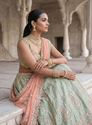 Amrai gulnaar green lehenga set