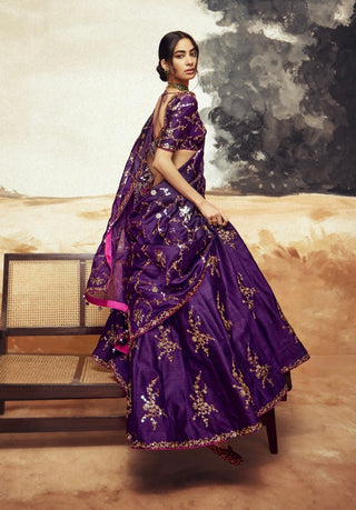 Baigani ranisa baingani lehenga set