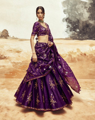 Baigani ranisa baingani lehenga set