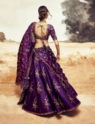 Baigani ranisa baingani lehenga set