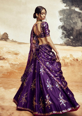 Baigani ranisa baingani lehenga set