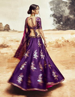 Baigani ranisa baingani lehenga set