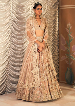 Champagne sukhan lehenga set