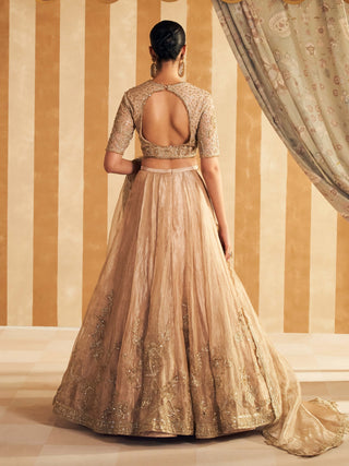 Gold tissue zarina lehenga set