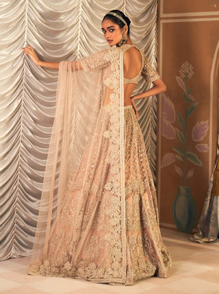 Champagne sukhan lehenga set