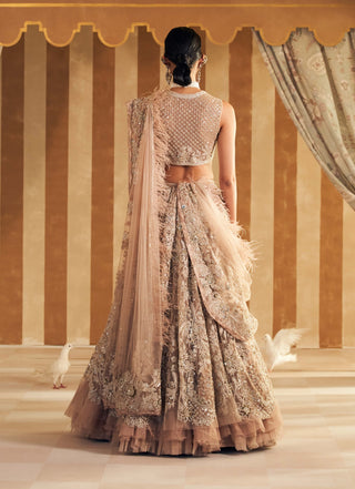 Champagne inaara lehenga set