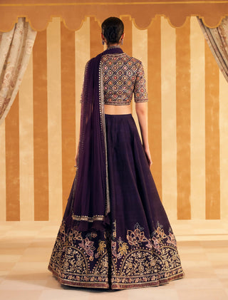 Purple Naghma Sari And Blouse by Ridhi Mehra, available on Indiaspopup.com