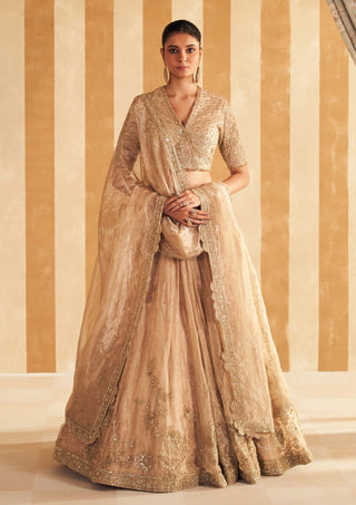 Gold Tissue Zarina Lehenga Set by Ridhi Mehra, available on Indiaspopup.com