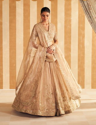 Gold Tissue Zarina Lehenga Set by Ridhi Mehra, available on Indiaspopup.com