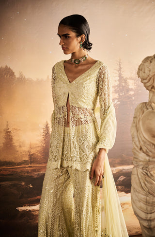 Willow ice mint embellished peplum sharara set