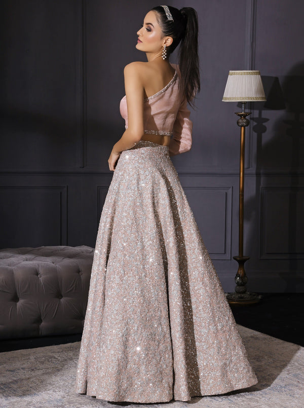 Mani Bhatia-Champagne Silver Embroidered Skirt Set-INDIASPOPUP.COM