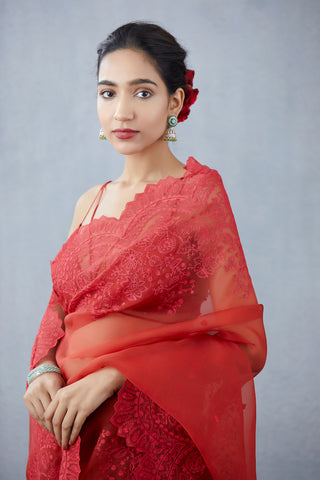 Torani-Ruby Surkh Farrin Saree-INDIASPOPUP.COM