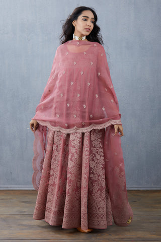 Torani-Tulip Gulbaag Sutlej Kurta Set-INDIASPOPUP.COM