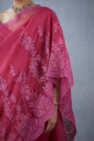 Torani-Scarlet Gulkand Farrin Saree-INDIASPOPUP.COM