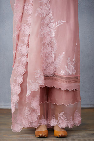 Torani-Carnation Gulbahar Naavya Kurta Set-INDIASPOPUP.COM