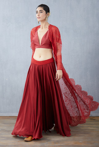 Torani-Ruby Surkh Davya Overlay Set-INDIASPOPUP.COM