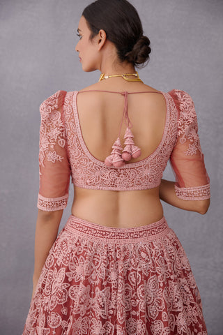 Torani-Grape Pink Gulbaag Hansini Lehenga Set-INDIASPOPUP.COM