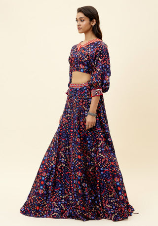 Sva By Sonam And Paras Modi-Blue Rasa Print Lehenga With Crop Top-INDIASPOPUP.COM