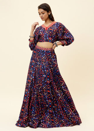 Sva By Sonam And Paras Modi-Blue Rasa Print Lehenga With Crop Top-INDIASPOPUP.COM