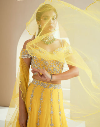 Yellow Embellished Lehenga Set