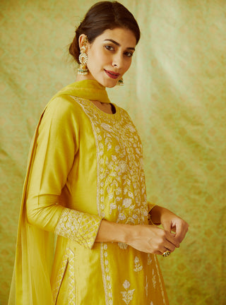 Shyam Narayan Prasad-Mustard Yellow Kurta Skirt Set-INDIASPOPUP.COM