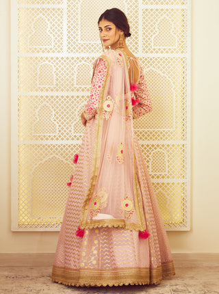 Shyam Narayan Prasad-Light Pink Chanderi Lehenga Set-INDIASPOPUP.COM