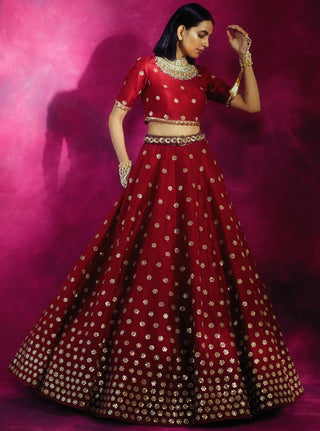 Vvani By Vani Vats-Brick Red Flower Gradation Skirt Top Set-INDIASPOPUP.COM
