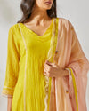 Devyani Mehrotra-Yellow Vintage Carnation Suit-INDIASPOPUP.COM