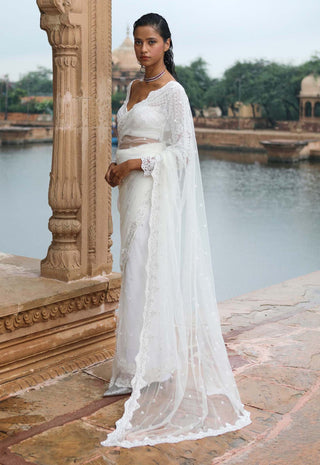 White Sari With Blouse